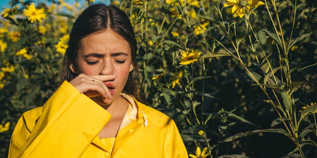 uczulenie na osy i pszczoły